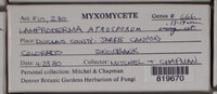 Image Associated With the Occurence